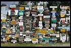 Digital photo titled watson-lake-sign-forest-6