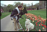 Philip trying to photograph George.  Boston Garden.  The camera is a Sinar F2 view camera.