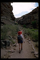Bright Angel Trail.  Grand Canyon.  Arizona.