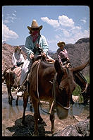 Tourists on mules.  Grand Canyon.  Arizona.