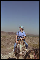 Philip Greenspun on a horse.  Arizona 1989.