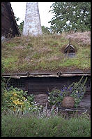 Skansen in Stockholm