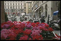 Flowers and mopeds in Florence