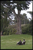 Golden Gate Park. San Francisco, California