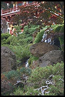 Japanese tea garden.  Golden Gate Park.  San Francisco, California