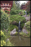 Japanese tea garden.  Golden Gate Park.  San Francisco, California