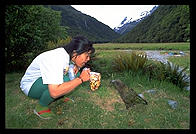 Saeko and a Kea bird.  Along the Routeburn Track.  South Island, New Zealand.