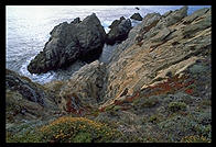 Cove at Point Lobos.  California Coast, just south of Carmel.