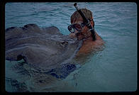 Professional stingray guy feeding stingray in Stingray City, Grand Cayman, Cayman Islands