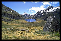 Somewhere along the Routeburn Track, near Queenstown, South Island, New Zealand