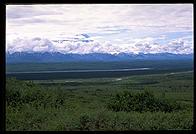 A typical visitor's experience of Mt. McKinley.