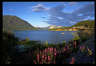 Roadside scenery driving south to Skagway, Alaska.