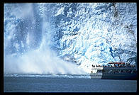 Glacier calves in Kenai Fjords National Park (Alaska).