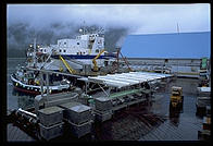 Petersburg Fisheries, Petersburg, Alaska.