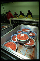 Salmon Roe.  Petersburg Fisheries, Petersburg, Alaska.