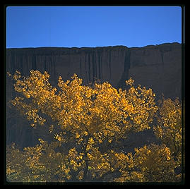Canyon de Chelly (northeast Arizona).