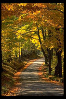 One of the backroads of Vermont