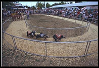 Overview of pig racing at the New Jersey State Fair 1995.  Flemington, New Jersey.