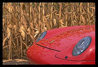 Porsche and corn.  Pennsylvania.