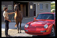 Porsche and horse.  Amish country, Pennsylvania.