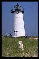 Alex and the Edgartown Lighthouse, Martha's Vineyard (Massachusetts)