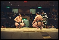 Sumo Competition. Ryogoku District. Tokyo