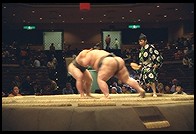 Sumo Competition. Ryogoku District. Tokyo