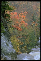 Glen Ellis Falls on Rt. 16 in New Hampshire