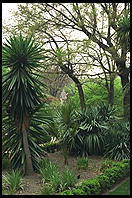 Real Jardin Botanico.  Madrid, Spain
