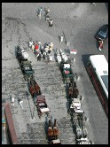 Digital photo titled stephansplatz-horses