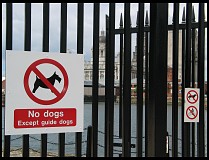 Digital photo titled no-dogs-albert-dock